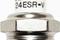 DENSO W24ESRV