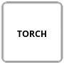 TORCH